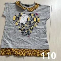 Item thumbnail for item 4e90883e-3e41-45d7-a91c-61e8429a3779