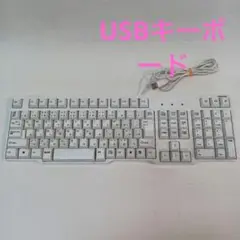 SANWA SUPPLY 日本語配列USBキーボード 本体SKB-L1U