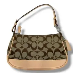 COACH アクセサリーポーチ ハンドバッグ ワンショルダー シグネチャー