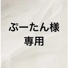 ぷーたん様専用