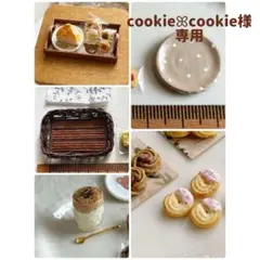 ミニチュアスイーツ cookieꕤ︎︎cookie様専用ページ