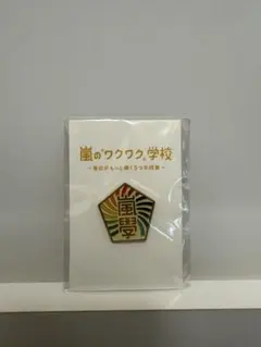【新品未使用】嵐のワクワク学校バッジ