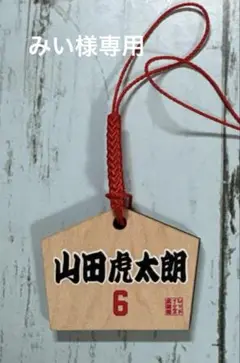 レッドイーグルス北海道
