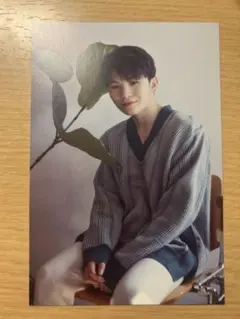 Woozi happy ending ポストカード