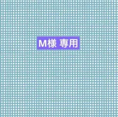 M様 リクエスト 5点 まとめ商品