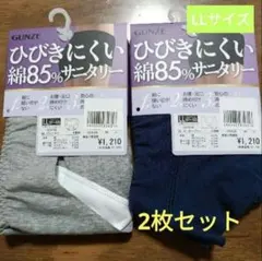 GUNZE　ひびきにくい　サニタリーショーツ　LLサイズ 　2枚セット
