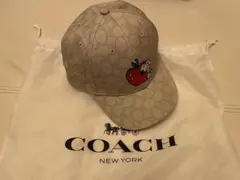 2026年最新】コーチスヌーピーの人気アイテム - メルカリ