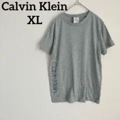 早い者勝ち❣️Calvin Klein 【XL】グレー Tシャツ 半袖 夏服