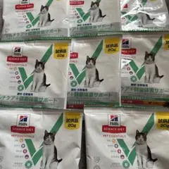 Item thumbnail for item 915fad3d-dfa1-4cdb-8706-f57e23e6d30b