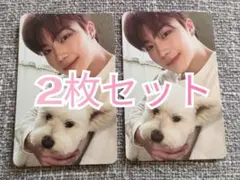 zb1 ゼベワン never say never 犬 トレカ ①