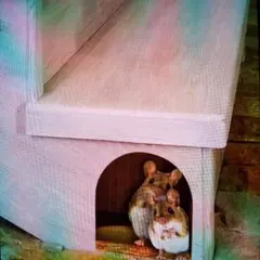 たらこ様 リクエスト 2点 まとめ商品