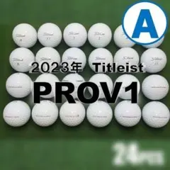 A40 Titleist PROV1 白 2023年 ロストボール 24球