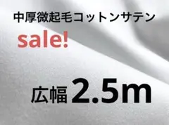 Item thumbnail for item ced0fd4b-0f28-454e-a429-a1bbbb8615a2