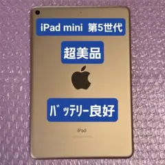 超美品　iPad mini 第5世代　バッテリー良好　Wi-Fiモデル　64GB