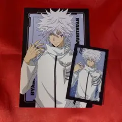 白蘭 イラストカード ポストカード AMNIBUS リボーン