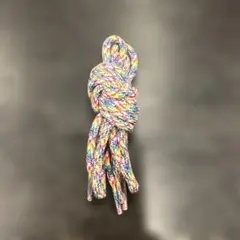 Item thumbnail for item 5cc80cd3-bf17-4f95-9776-76db4b8d6c10