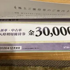 VT HOLDINGS 招待券 株主優待券