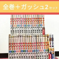 金色のガッシュ　全33巻　+データブック　初版帯付き多数 31veMfeTSAL._UF1000,1000_QL80_.jpg