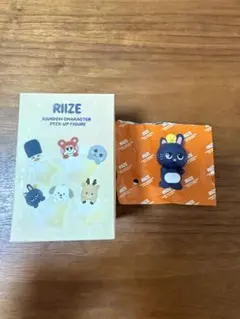 RIIZE 公式 未開封 PEEK-UP FIGURE ウンソク ソンヨンドリ - メルカリ