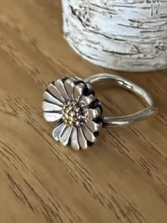 2025年最新】トロールビーズ デイジーの人気アイテム - メルカリ