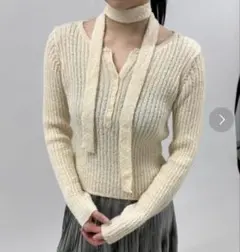 ナロータイヘンリーネックニット