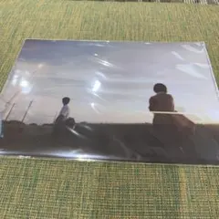 映画 秒速5センチメートル クリアファイル&フライヤー2点セット