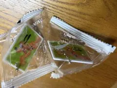 東京ディズニーリゾート アクリルキーホルダー プルート2個セット