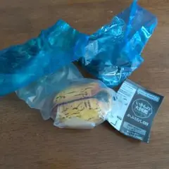 生き物大図鑑　オキシデンタリス
