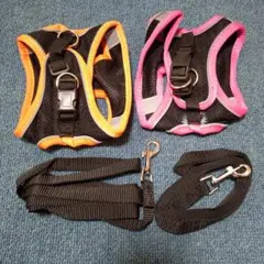 Item thumbnail for item 05aa9179-dc1f-4615-9286-536df666c18f