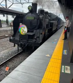 2025年最新】SL大樹の人気アイテム - メルカリ