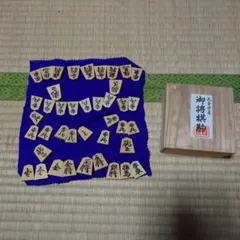 Item thumbnail for item f13cae19-9afa-4551-b209-38e5101e2033