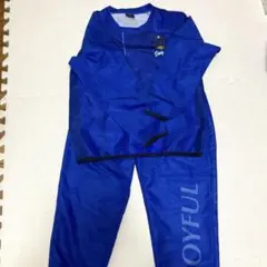 Item thumbnail for item a155595e-366e-4055-a4ad-8c0281e503d0