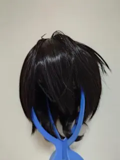 朔間凛月　ウィッグ