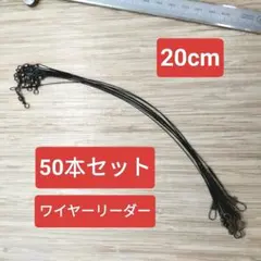 Item thumbnail for item d6caebcd-76aa-4475-8752-f8f025f57d44