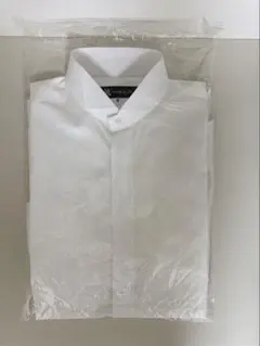 クリーニング済】トリートドレッシング新郎2点セット（シャツLサイズ