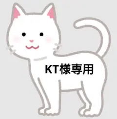 KT様 リクエスト 4点 まとめ商品