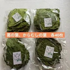 乾燥葛の葉、からむしの葉各40枚　20枚入り個包装 小動物　おやつ用のサムネイル
