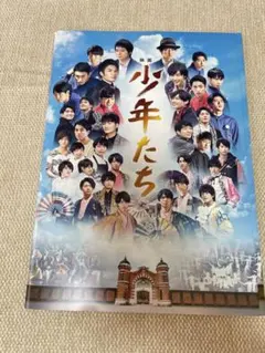 少年たち 映画 パンフレット