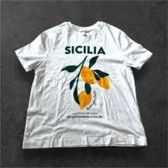 未使用 レモン柄 半袖Tシャツ H&M SICILIA フルーツロゴ Mのサムネイル
