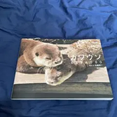 カワウソ KAWAUSO 写真・文 佐藤淳一