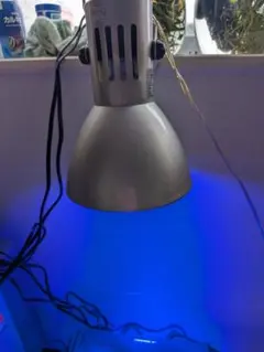 海水・サンゴ用LED✋ZOOX アクティニック レイズ(ブルー) /中古 - メルカリ