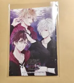 DIABOLIK LOVERS Switch ステラワース 小冊子