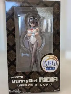 303 キャラアニ 1/8 伊里野加奈 フィギュア 未開封 - メルカリ