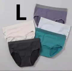 〈新品〉美人工房 のびのび楽々 しなやかフィットショーツ5枚セット Lサイズ