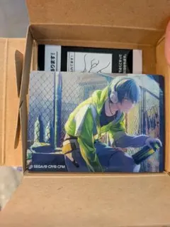 プロセカ 青柳冬弥 ノーブルアート 70