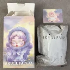 SKULLPANDA In The Garden スカルパンダ　シークレット