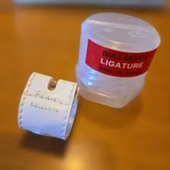 Item thumbnail for item 23ba41a1-9693-4375-b3c7-7194e9ee394d