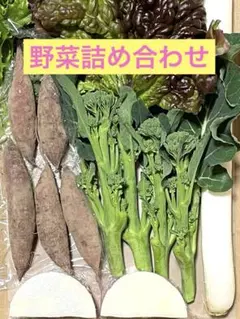 新鮮野菜セット　野菜詰め合わせ ネコポス a