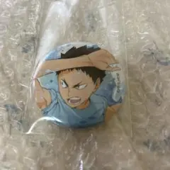 正規品 ハイキュー 水遊び 缶バッジ 岩泉一 - メルカリ