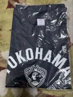 横浜ビーコルセアーズ